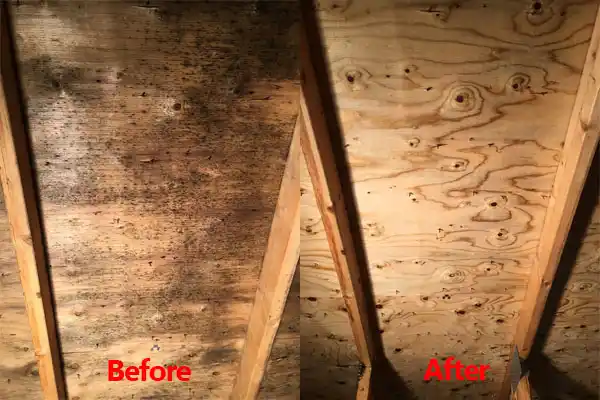 water damage restoration service Chesapeake Ranch Estates